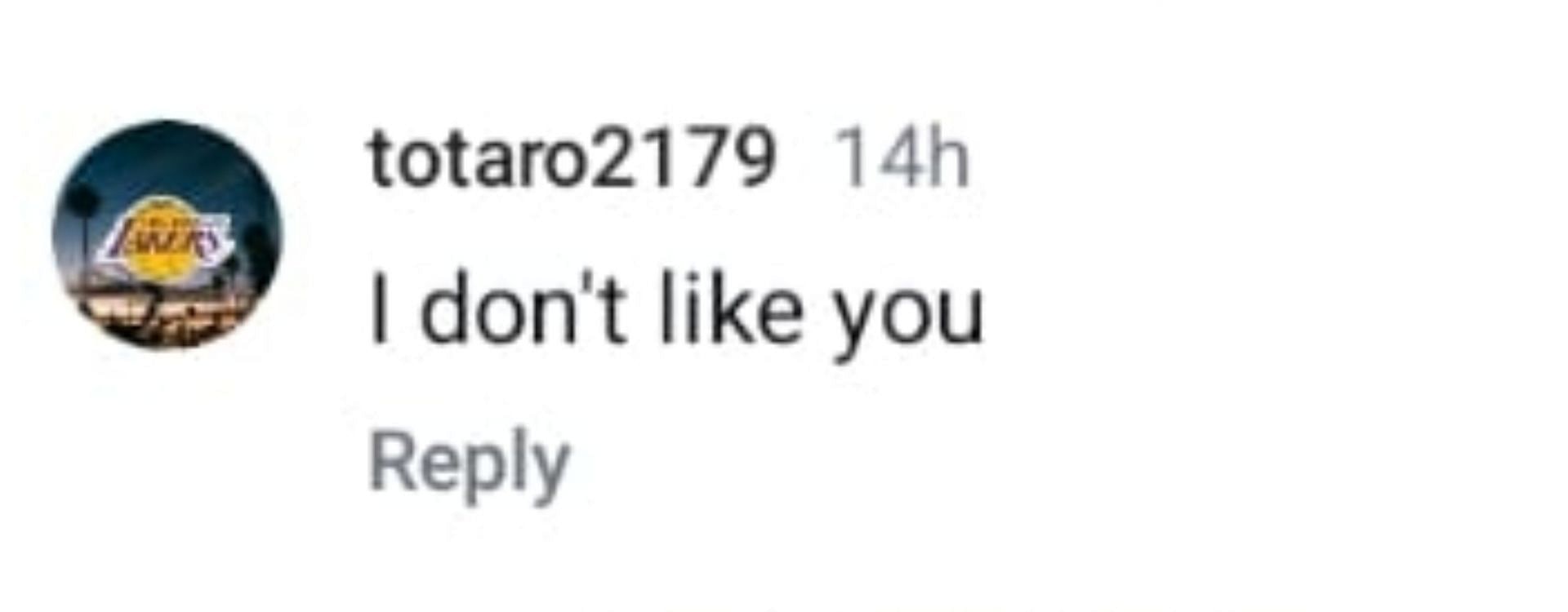 फैन का कमेंट (Photo: Liv Morgan Instagram Comments)